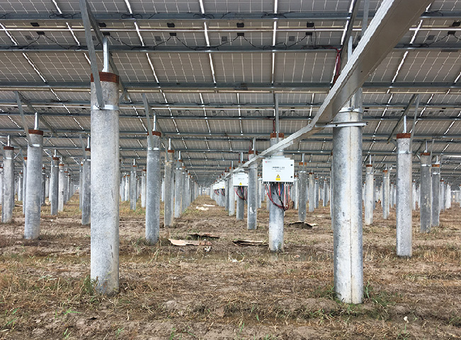 1676514858568301tsyX.jpg 浙江中核匯能寧波市鶴浦鎮30MW農光互補電站.jpg