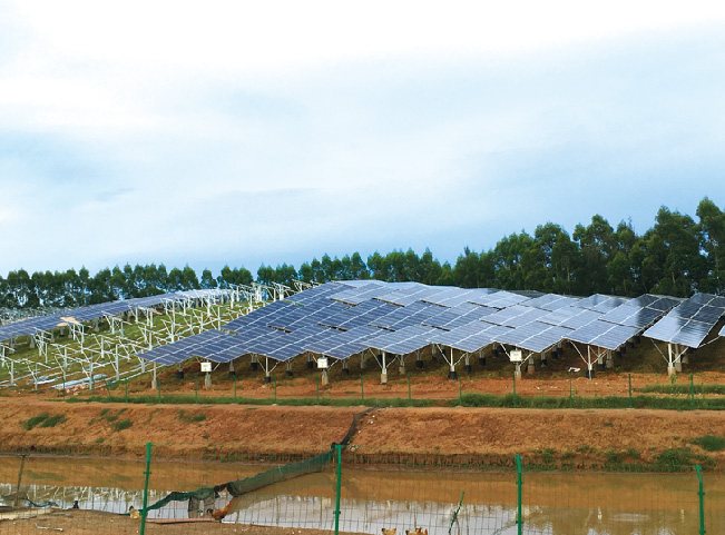 星島湖20MW農(nóng)光互補一體機項目.jpg